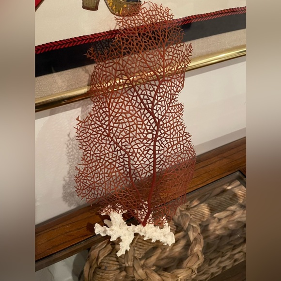 Pottery Barn Accents Pottery Barn Coral Deco Poshmark